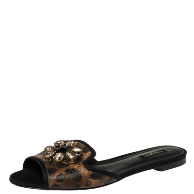 Pre-owned Dolce & Gabbana Brown Leopard Printed Coated Canvas Embellished Flat Slides Size 40.5