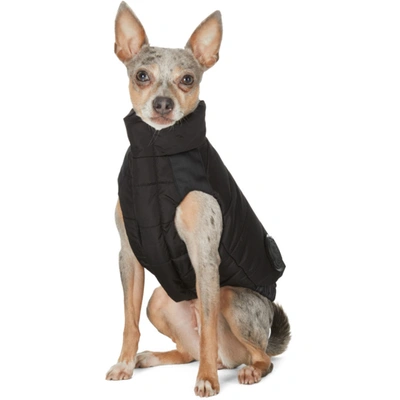 Shop Moncler Genius Black Poldo Dog Couture Edition Taffeta Mondog Jacket In 999 Black