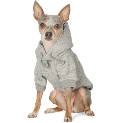 Shop Dsquared2 Grey Poldo Dog Couture Edition Maple Ottawa Hoodie In 2140 Grey
