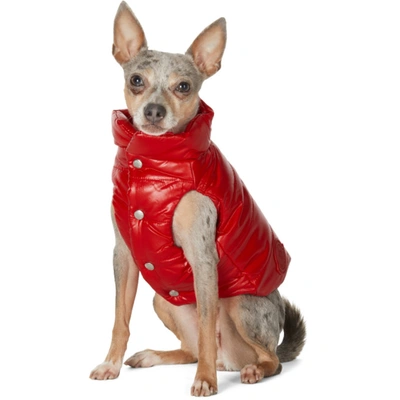 Shop Moncler Genius Red Poldo Dog Couture Edition Mondog Jacket In 455 Red
