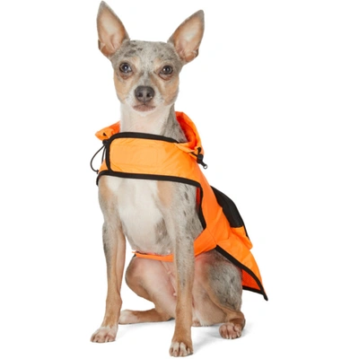 Shop Moncler Genius Orange Poldo Dog Couture Edition Mondog Cloak Jacket In 32k Orange