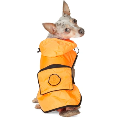 Shop Moncler Genius Orange Poldo Dog Couture Edition Mondog Cloak Jacket In 32k Orange