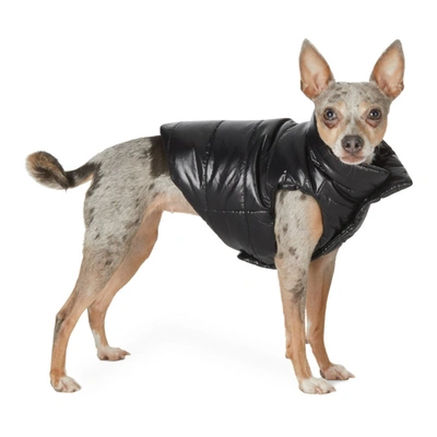 Shop Moncler Genius Black Poldo Dog Couture Edition Mondog Jacket In 999 Black