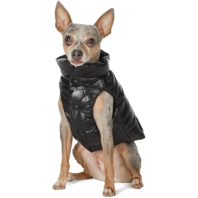 Shop Moncler Genius Black Poldo Dog Couture Edition Mondog Jacket In 999 Black