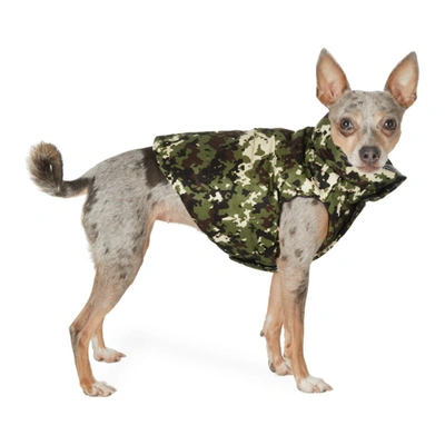 Shop Moncler Genius Green Camo Poldo Dog Couture Edition Mondog Jacket In 830 Camo