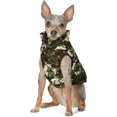 Shop Moncler Genius Green Camo Poldo Dog Couture Edition Mondog Jacket In 830 Camo