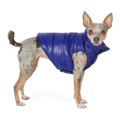 Shop Moncler Genius Blue Poldo Dog Couture Edition Mondog Jacket In 732 Blue