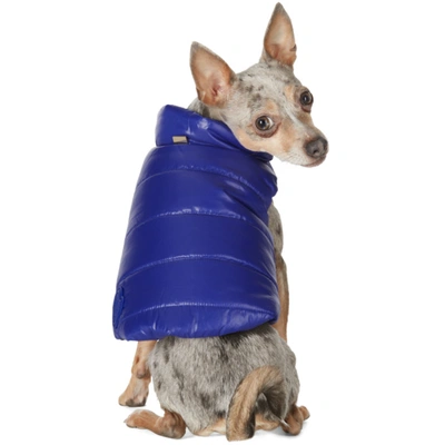 Shop Moncler Genius Blue Poldo Dog Couture Edition Mondog Jacket In 732 Blue