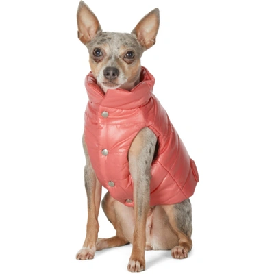 Shop Moncler Genius Pink Poldo Dog Couture Edition Mondog Jacket In 539 Pink