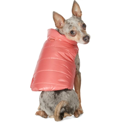 Shop Moncler Genius Pink Poldo Dog Couture Edition Mondog Jacket In 539 Pink