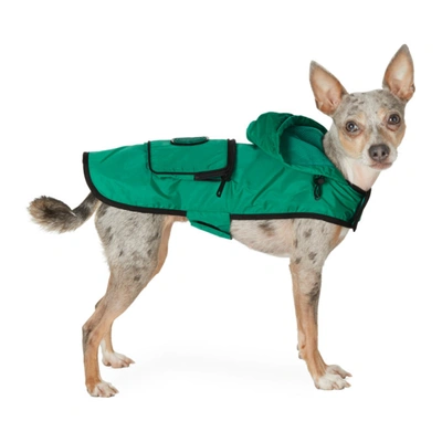 Shop Moncler Genius Green Poldo Dog Couture Edition Mondog Cloak Jacket In 892 Green