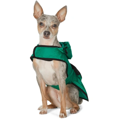 Shop Moncler Genius Green Poldo Dog Couture Edition Mondog Cloak Jacket In 892 Green