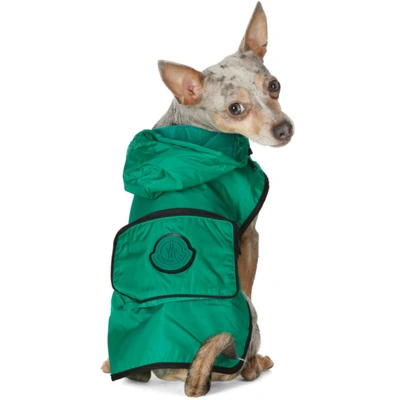 Shop Moncler Genius Green Poldo Dog Couture Edition Mondog Cloak Jacket In 892 Green