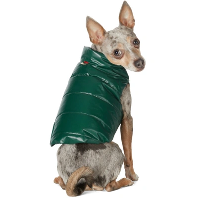 MONCLER GENIUS 绿色 POLDO DOG COUTURE 联名 MONDOG 双面宠物夹克