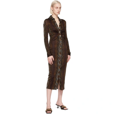 Shop Versace Brown Python Print Shirt Dress In 5n020