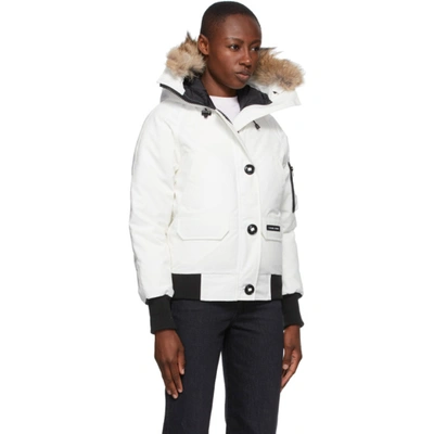 Shop Canada Goose White Down Chilliwack Bomber Jacket In 433 N Star