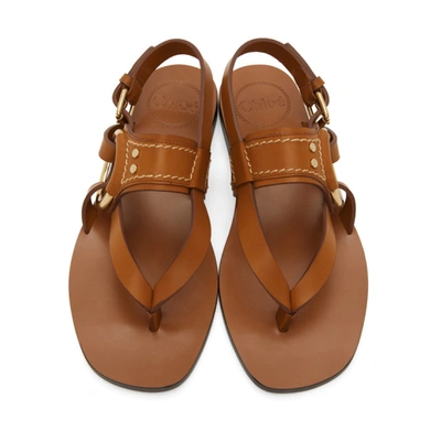 Shop Chloé Chloe Brown Demi Flat Sandals In 246 Cognac
