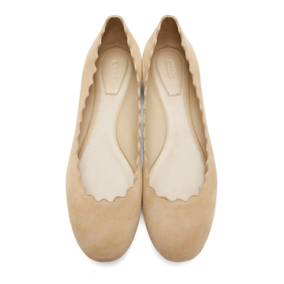 Shop Chloé Beige Suede Lauren Flats In 26u Reef Sh