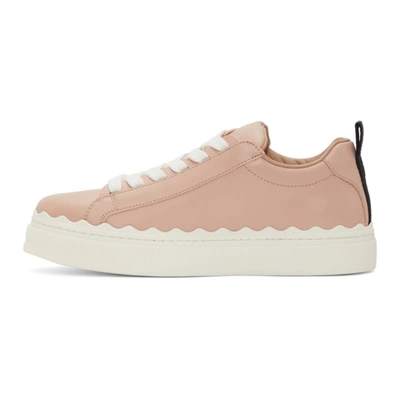 Shop Chloé Pink Leather Lauren Sneakers In 6l0 Coral