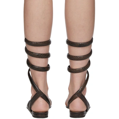 Shop Bottega Veneta Brown Python Spiral Sandals In 8812 Choco