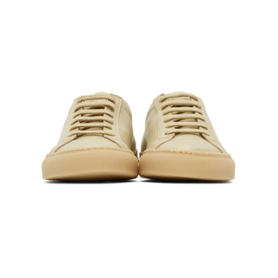 Shop Common Projects Beige Original Achilles Low Sneakers In 3130 Tisana