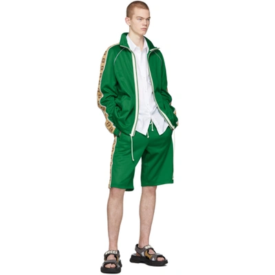 Shop Gucci Green Jersey Gg Ribbon Shorts In 3072clovgrn