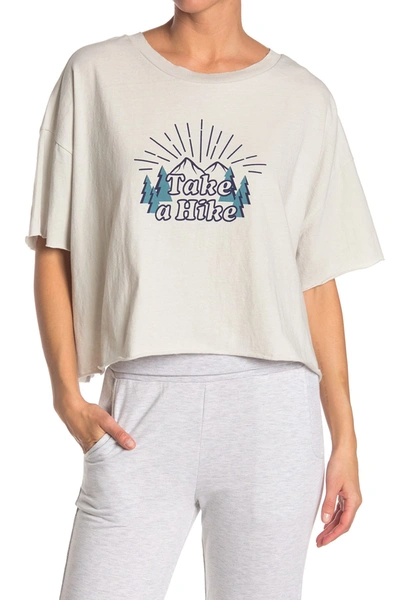 Shop Abound Crew Neck Graphic Crop T-shirt In Grey Hike