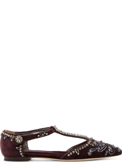 Dolce & Gabbana Plum Embellished Velvet Belluci Flats