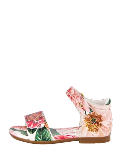 Shop Dolce & Gabbana Kids Sandals For Girls In Pink