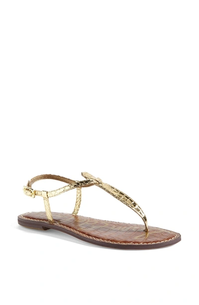 Shop Sam Edelman Gigi T-strap Sandal In Gold Snake Print