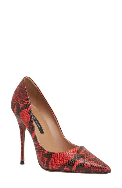 Shop Bcbgmaxazria Nova Pointed Toe Pump In Red Python Print