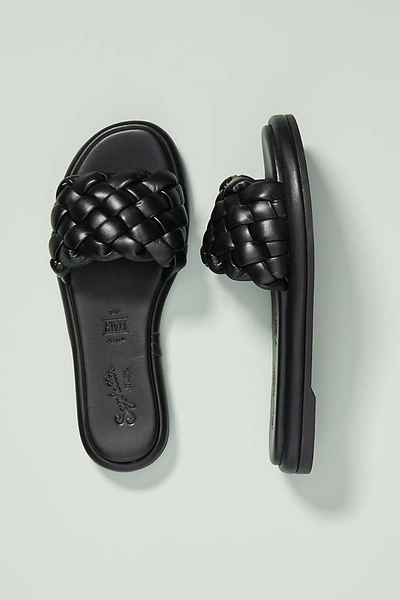 Shop Seychelles Belissima Puffy Woven Slide Sandals In Black