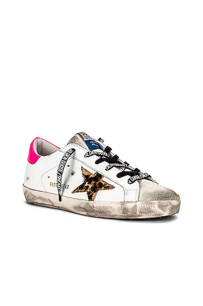 Shop Golden Goose Superstar Sneaker In Ice  White  Brown Leopard & Fuchsia Fluo