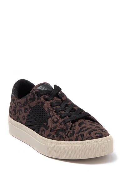 Shop Greats Royale Knit Sneaker In Leopard/black