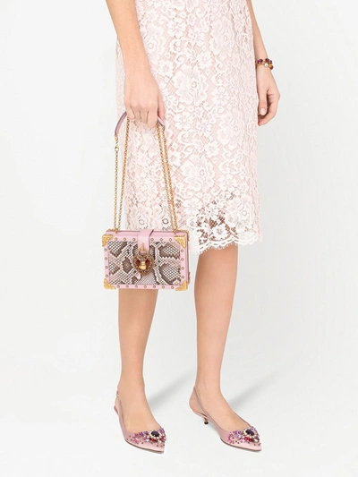 Shop Dolce & Gabbana My Heart Python Skin Crossbody Bag In Pink