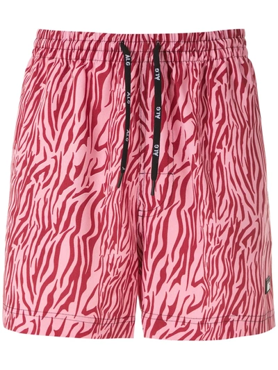 Shop Àlg Oxford Zebra Shorts In Pink