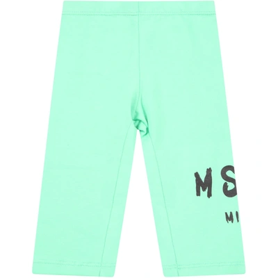 Shop Msgm Mint Green Leggings For Babygirl Wih Logo