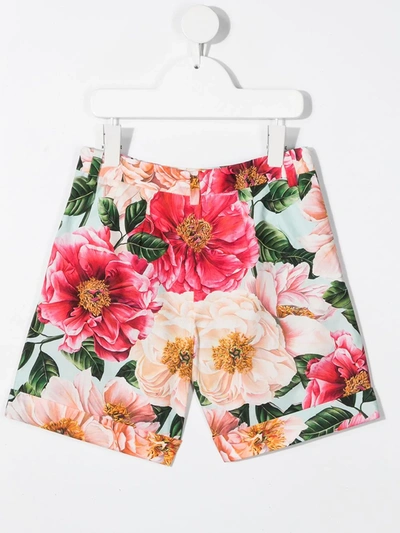 Shop Dolce & Gabbana Floral-print Cotton Shorts In Pink
