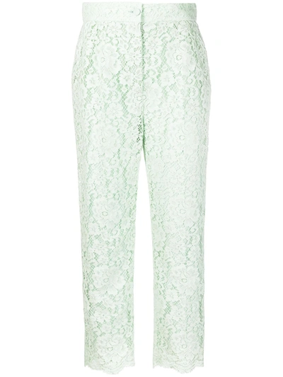 Shop Dolce & Gabbana Cropped Floral-lace Trousers In Green