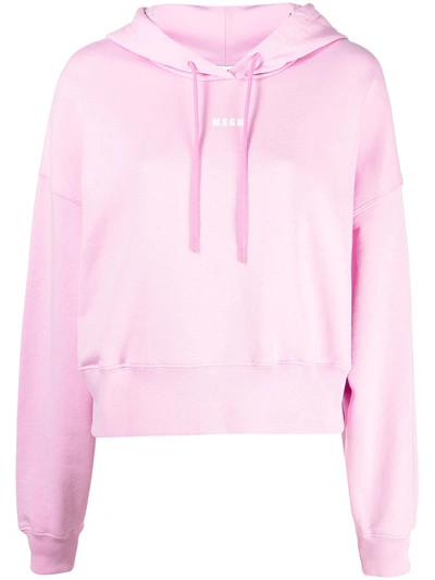 Shop Msgm Logo-print Cotton Hoodie In Pink