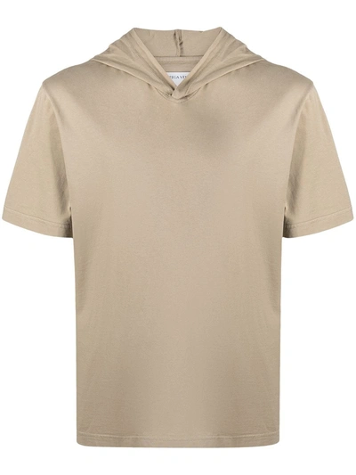 Shop Bottega Veneta Hooded Short-sleeve T-shirt In Neutrals