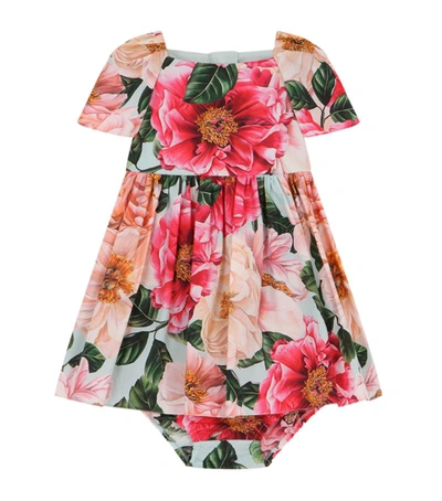 Shop Dolce & Gabbana Kids Floral Print Dress And Bloomers (3-30 Months)