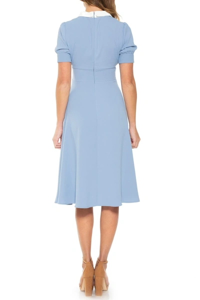 Shop Alexia Admor Printed Spread Collar Midi Dress In Azure
