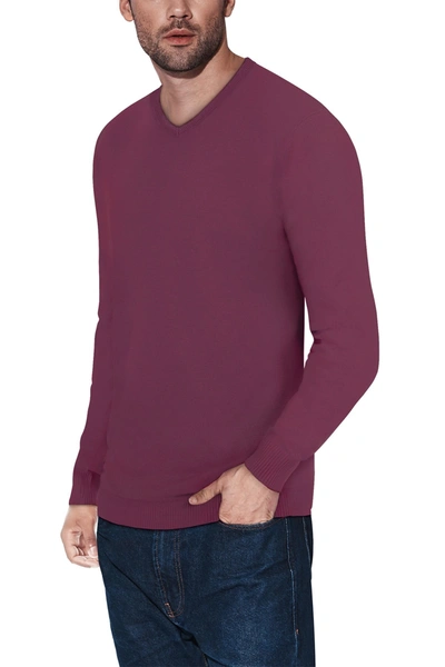 Shop X-ray V-neck Rib Knit Sweater In Plum