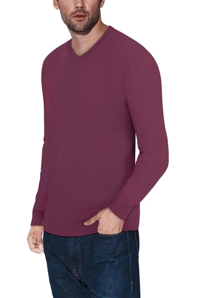 Shop X-ray Xray V-neck Rib Knit Sweater In Plum