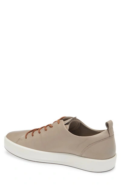 Shop Ecco Soft Vii Sneaker In Moon Rock