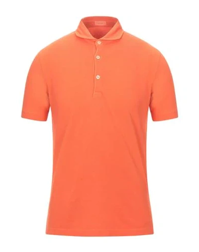 Shop Altea Polo Shirts In Orange