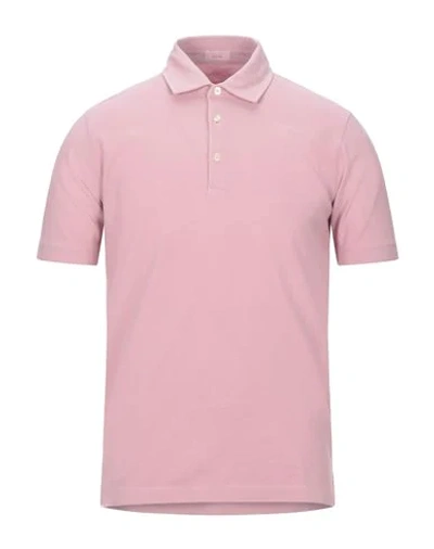 Shop Altea Man Polo Shirt Pink Size S Cotton