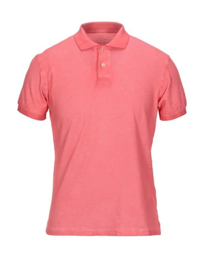 Shop Ploumanac'h Man Polo Shirt Coral Size M Cotton, Elastane