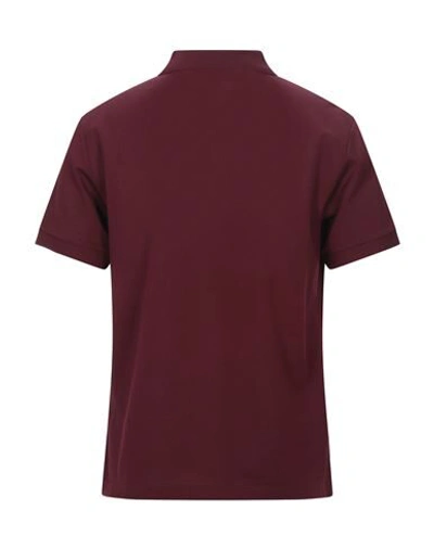 Shop Burberry Polo Shirt In Maroon
